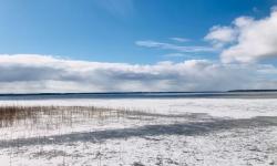 2.Winter 2018